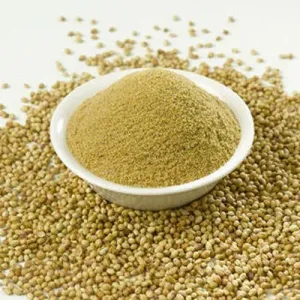 Loose Dhaniya Pack 1kg
