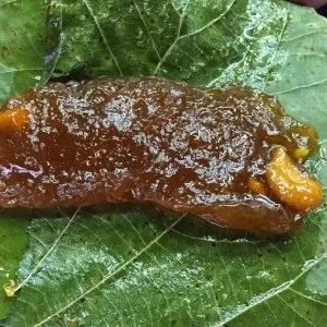 Prema Villas Halwa 250g