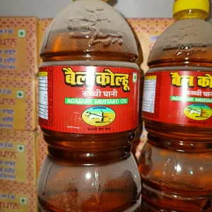 Bail kohlu