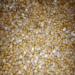 arhar Dal