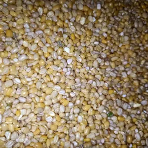 Moongi Dal Dhoi