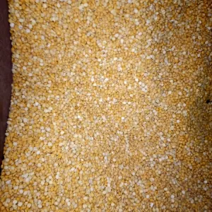 chana Dal