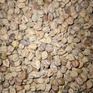 kalla Chana