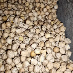 White Chana