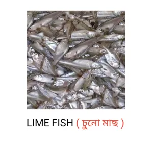 চুনো মাছ