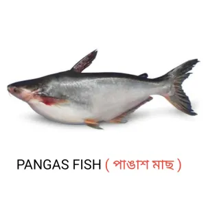 পাঙ্গাস মাছ