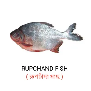রূপচাঁদ মাছ