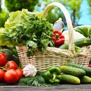 VEGITABLES