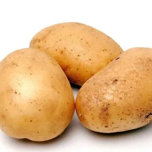 Pottatto