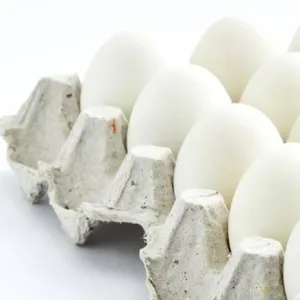 Egg,mutta