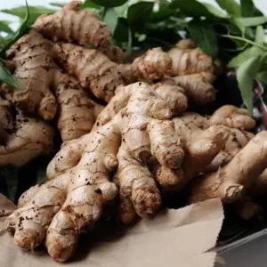 Ginger