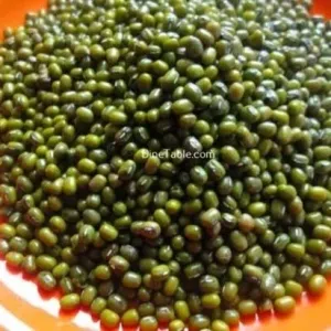 Mung bean 