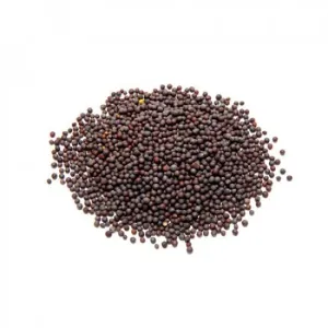 Black Mustard (Kala Sarso)