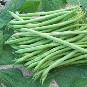 Beens ( 500g )