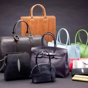 Bag 