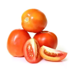 TOMATO / टमाटर / ટામેટા