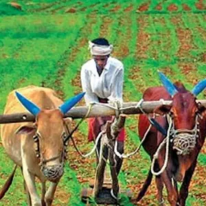 Farmer2Customer