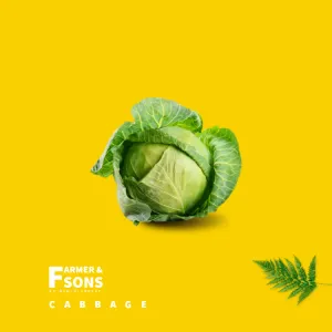 Cabbage