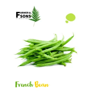Fansi