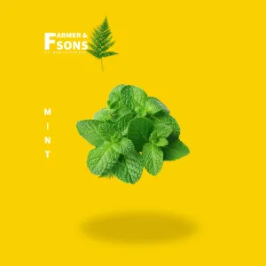 Mint