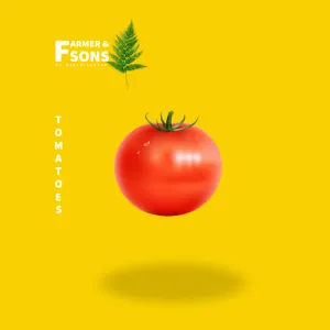 Tomato