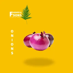Onion