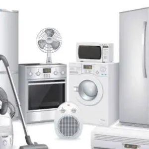 Electronic Itam