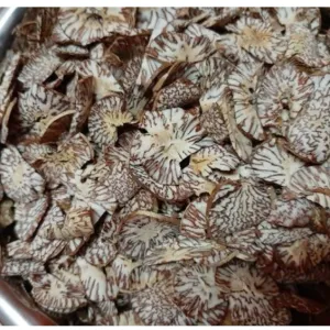 Supari Kating  ( सुपारी कटींग )