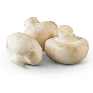 Mushrooms Buttons
