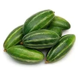 Pointed Gourd 