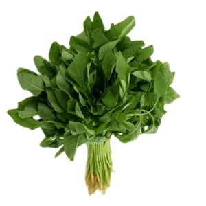 Amaranthus Green