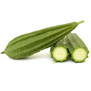 Ridge Gourd 