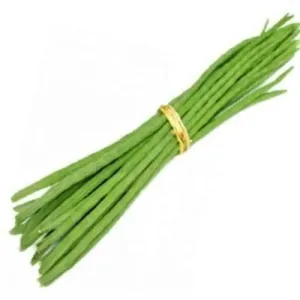 Drumstick / ನುಗ್ಗೆಕಾಯಿ 