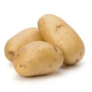 Potato