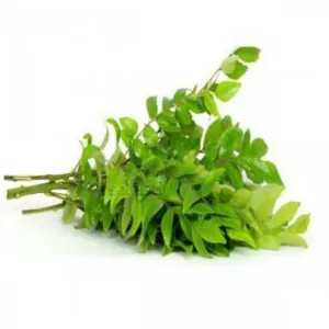 Curry Leaves / कडीपत्ता