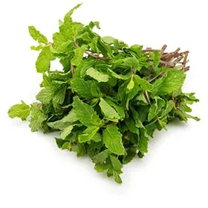 Mint / पुदिना