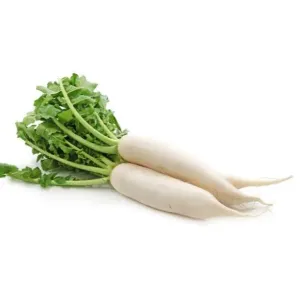 Radish / मुळा - White
