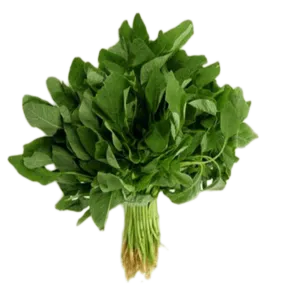 Amaranthus - Green / हिरवा माठ