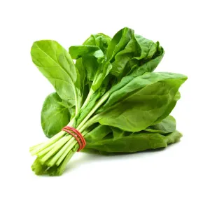 Spinach / पालक
