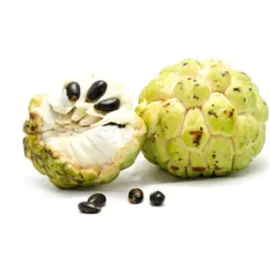 Custard apple सिताफल