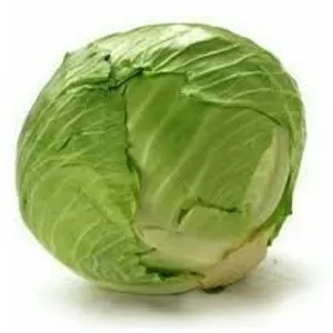 Tied cabbage(बंद्द गोभी)