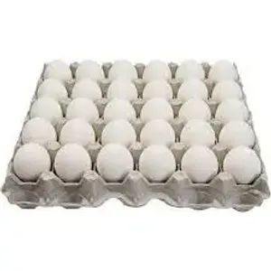 Chicken/ Eggs