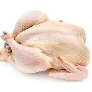 Poultry 