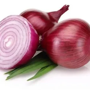 Organic Onion