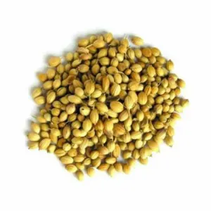 Coriander Seeds/धनिया साबुत /Dhaniya Sabut 