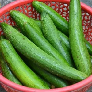 Gilke-(गिलके)