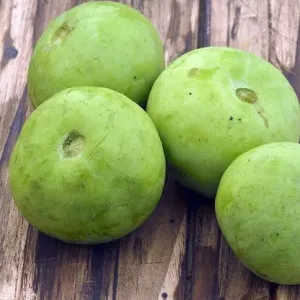 Tinda