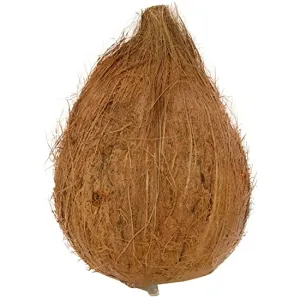 Coconut - नारळ