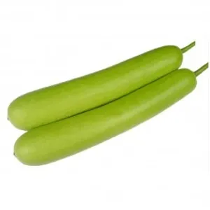 Bottle Gourd - दुधी 