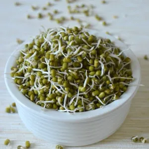 Green Moong (Sprouted) हिरवे मूग